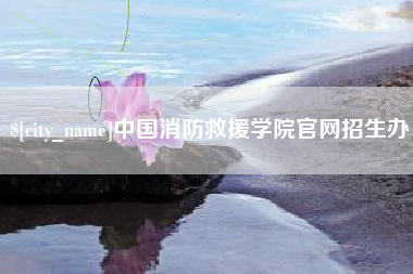 微山中国消防救援学院官网招生办