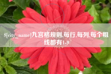 微山九宫格规则,每行,每列,每个粗线都有1-9