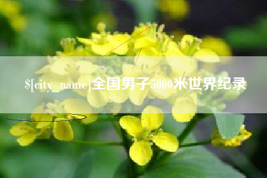 微山全国男子5000米世界纪录