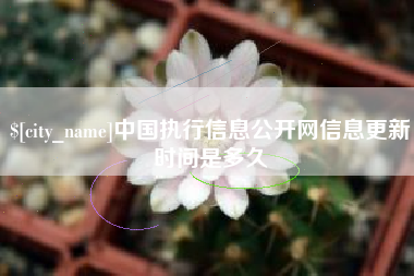 微山中国执行信息公开网信息更新时间是多久