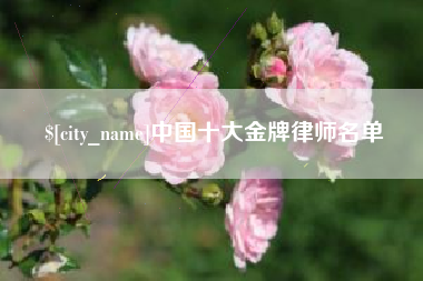 微山中国十大金牌律师名单