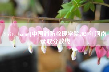 微山中国消防救援学院2020年河南录取分数线