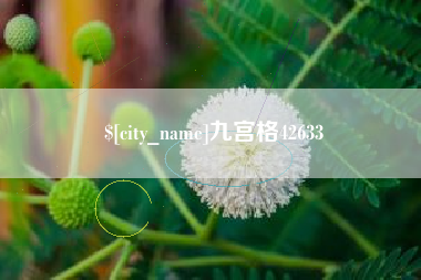 微山九宫格42633