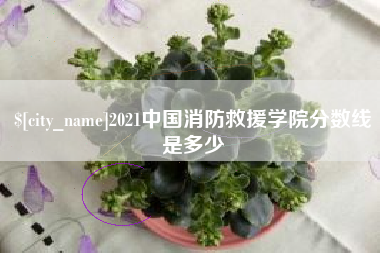 微山2021中国消防救援学院分数线是多少