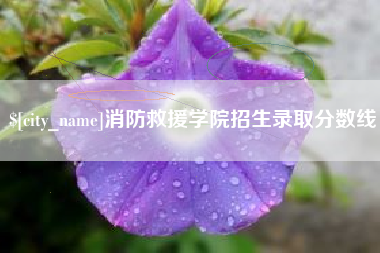 微山消防救援学院招生录取分数线