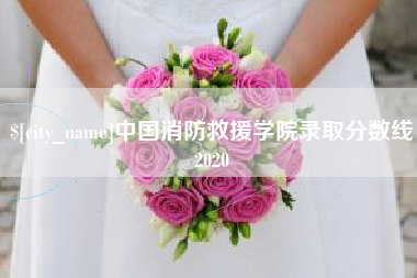 微山中国消防救援学院录取分数线2020