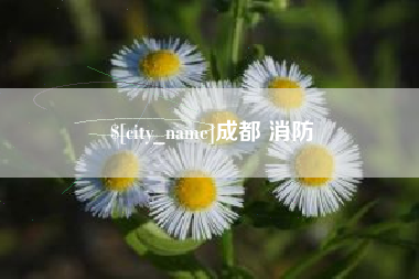 微山成都 消防