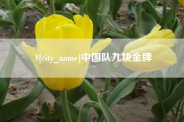微山中国队九块金牌