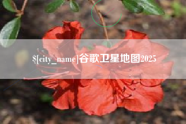 微山谷歌卫星地图2025