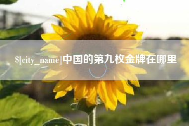 微山中国的第九枚金牌在哪里