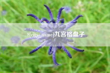 微山九宫格盘子
