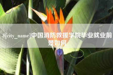 微山中国消防救援学院毕业就业前景如何