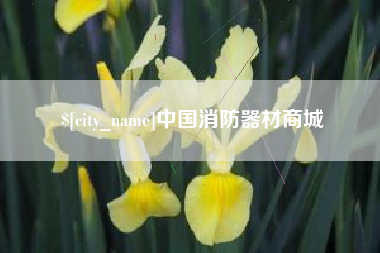 微山中国消防器材商城