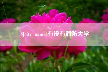 微山有没有消防大学