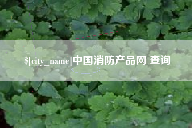 微山中国消防产品网 查询