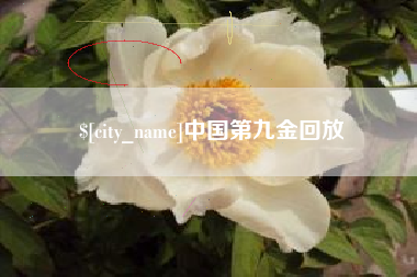 微山中国第九金回放