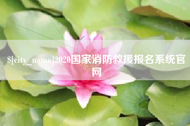 微山2020国家消防救援报名系统官网