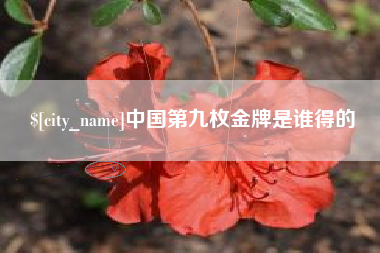 微山中国第九枚金牌是谁得的