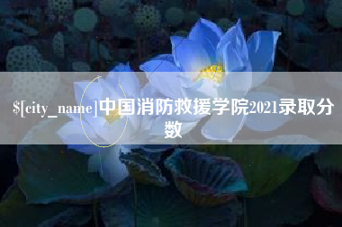微山中国消防救援学院2021录取分数