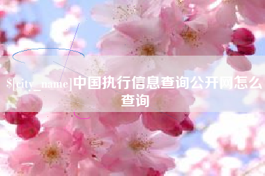 微山中国执行信息查询公开网怎么查询