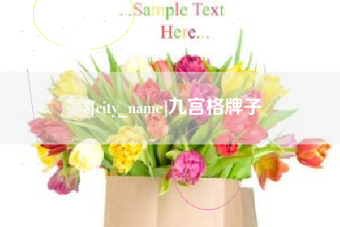 微山九宫格牌子