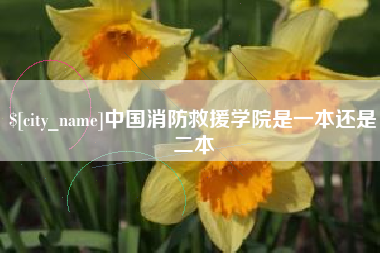 微山中国消防救援学院是一本还是二本