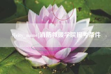 微山消防救援学院报考条件