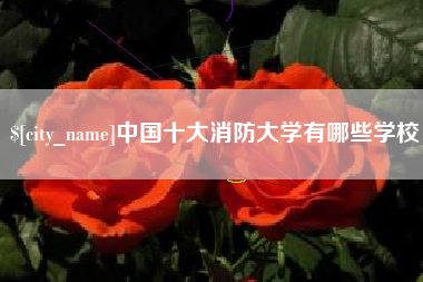 微山中国十大消防大学有哪些学校