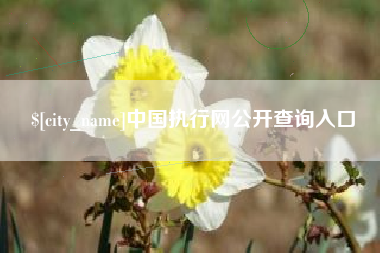 微山中国执行网公开查询入口