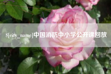 微山中国消防中小学公开课回放