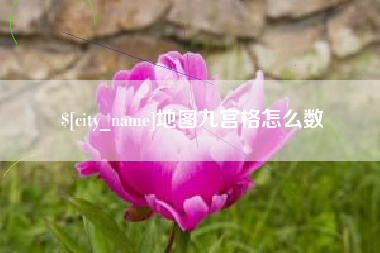 微山地图九宫格怎么数