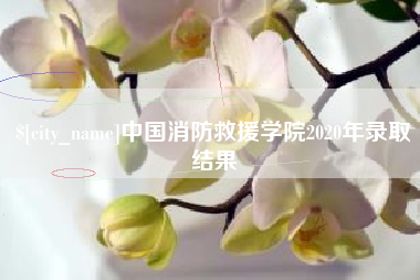 微山中国消防救援学院2020年录取结果