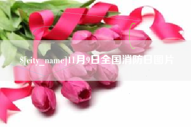 微山11月9日全国消防日图片