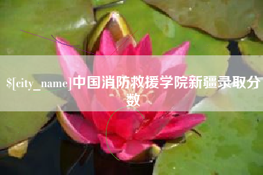 微山中国消防救援学院新疆录取分数