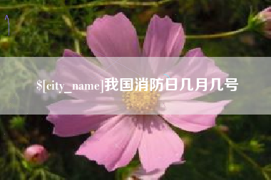微山我国消防日几月几号