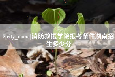 微山消防救援学院报考条件湖南招生多少分