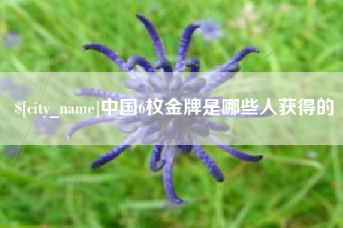 微山中国6枚金牌是哪些人获得的