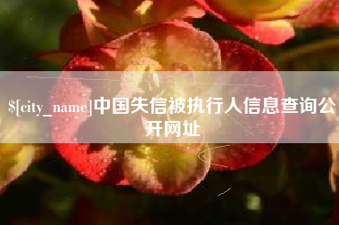 微山中国失信被执行人信息查询公开网址
