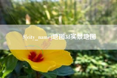 微山地图3d实景地图