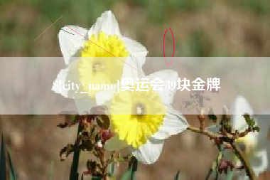 微山奥运会39块金牌