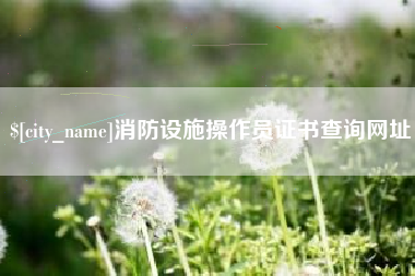 微山消防设施操作员证书查询网址