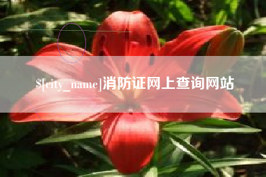 微山消防证网上查询网站