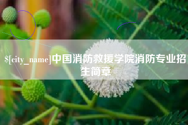 微山中国消防救援学院消防专业招生简章