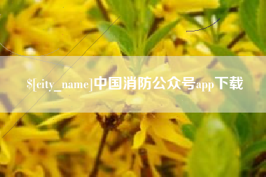 微山中国消防公众号app下载