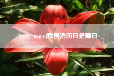 微山我国消防日是哪日