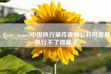 微山中国执行案件查询公开网都是执行不了得案子