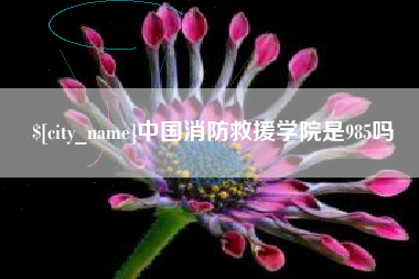 微山中国消防救援学院是985吗