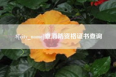 微山查消防资格证书查询