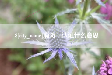 微山消防ccc认证什么意思