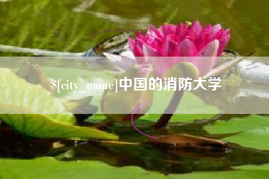 微山中国的消防大学